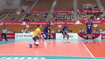 Lets Go Brazil GIF by Volleyball World