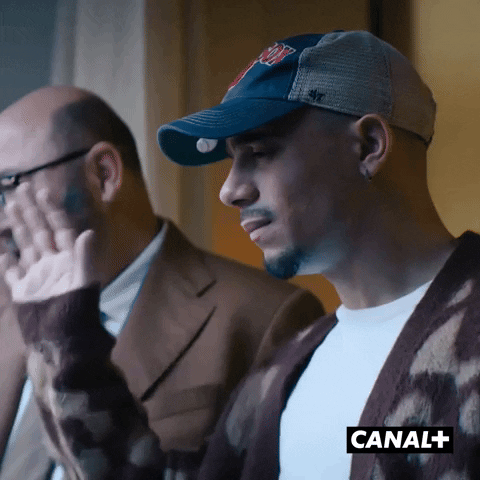 Mister V Hello GIF by CANAL+