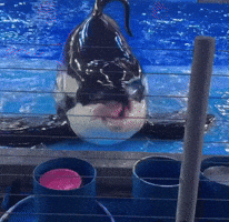 Tongue GIF