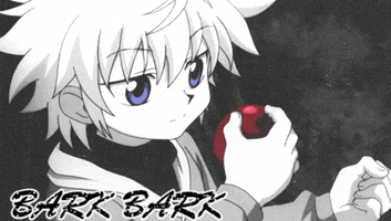 Killua Zoldyck GIF