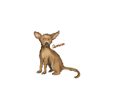 Veronasketch Sticker