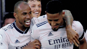 Arsenal GIF by memes