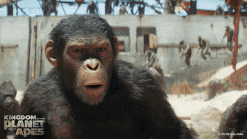 Confused Planet Of The Apes GIF by 20th Century Studios