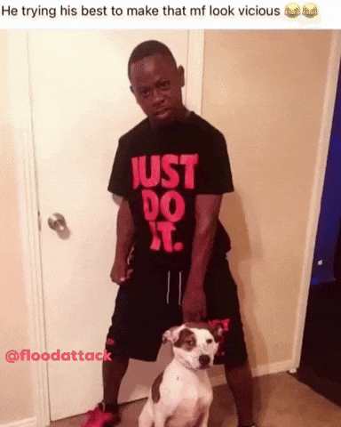 Angry Dog GIF