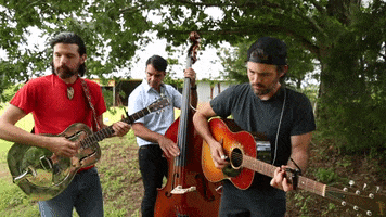 Loma Vista Recordings GIF by The Avett Brothers
