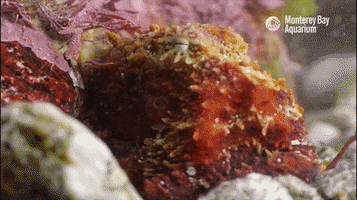 200.gif?cid=fc005b08d1879dbcacc436a58b515c35c181e87fe2e9a6f9&rid=200.gif&ct=g