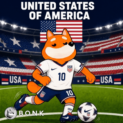United States Of America Crypto GIF by BONK