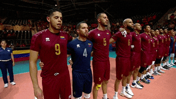 Power Sing GIF by Volleyball World