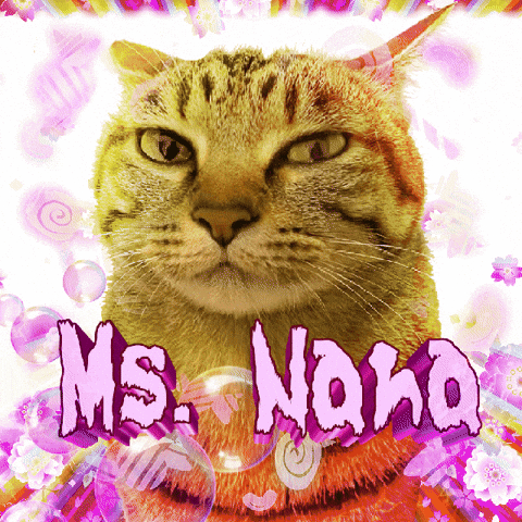 Cat Nana GIF