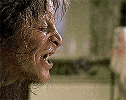 An American Werewolf In London GIFs - Find & Share on GIPHY