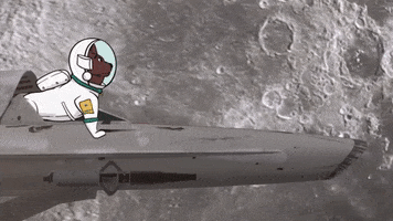 Mars Spaceship GIF by SCooBi Doge