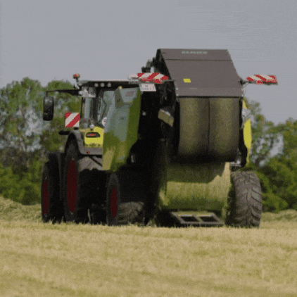 Cow Grass GIF by CLAAS
