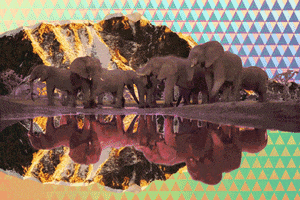 animation elephants GIF by weinventyou