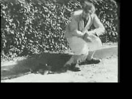 Konrad Lorenz GIF