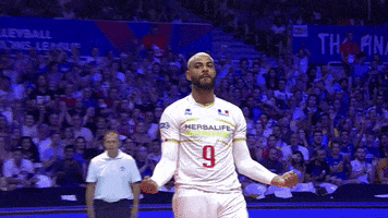 Celebrate France GIF by Volleyball World
