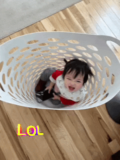 Baby Laundry Basket GIF by raymond wong
