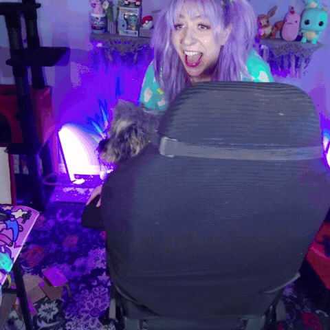 Dog Puppy GIF