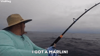 Fishing GIFs - Find & Share on GIPHY