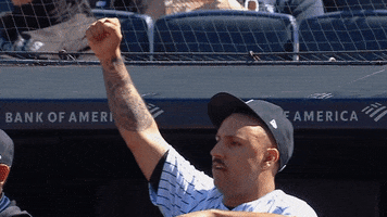 Happy Baseball GIF by YES Network