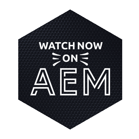 Esports Sticker by AEM