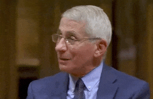 Thanksgiving Fauci GIF by GIPHY News
