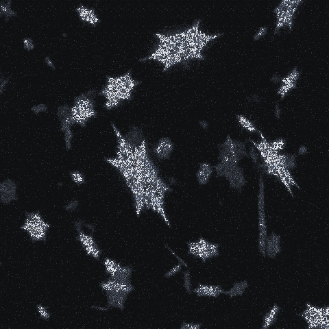 Christmas Streaming Sticker by Tootor