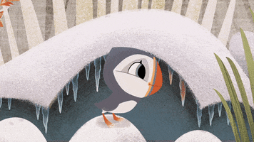 #puffinrock #puffin #rock #oona #chilly #raindrops GIF by Puffin Rock