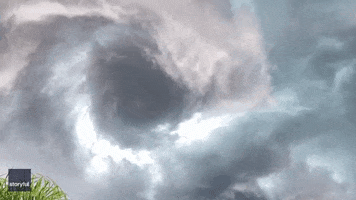 Storm Chaser Tornado GIF by Storyful