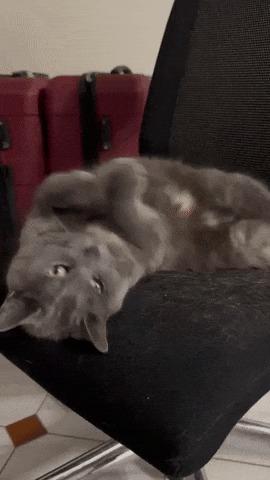 Luna Bazooka GIF