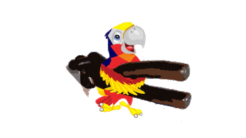 Sport Parrot Sticker by TSV Falkensee e.V.
