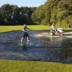 giphy.gif