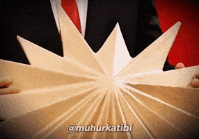 Turkey President GIF