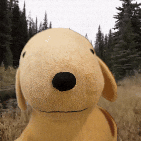 Yenlo GIF