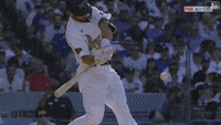 Saint-louis-cardinals GIFs - Get the best GIF on GIPHY
