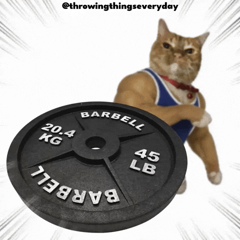 Cat Throwing GIF