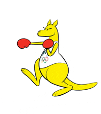 Boxing-kangaroo GIFs - Get the best GIF on GIPHY