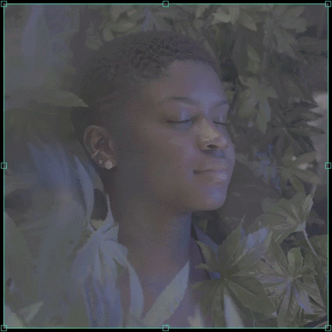 GIF by Helen & Gertrude