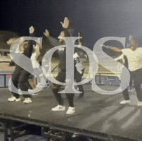 GIF by swingphiswing