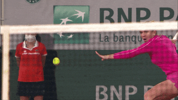 Happy French GIF by Roland-Garros