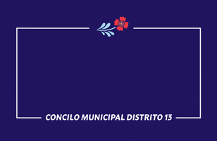 La City Council GIF by Hugo for CD13