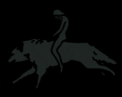 Anna Rovira Bags GIF