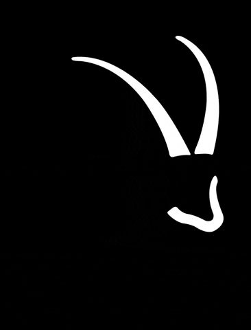 Grischa GIF