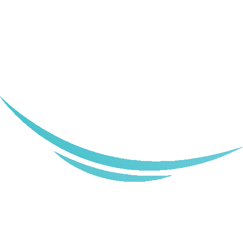 congresultransilvania Sticker
