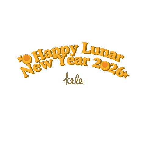 Chinese Pineapple Tarts Sticker by Kele Singapore