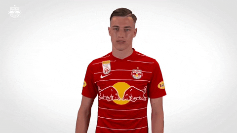 Giphy - Celebrate Red Bull GIF by FC Red Bull Salzburg