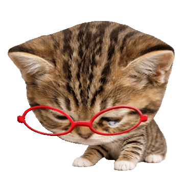 Sad Cat Sticker