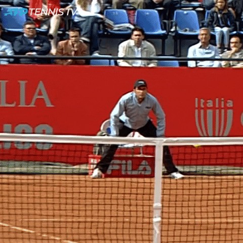 Mood Wtf GIF by Tennis TV - Find & Share on GIPHY