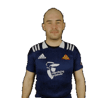 Sport Rugby Sticker by skrawarszawa