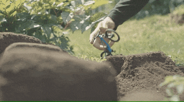 Mountain Bike GIFs - Find & Share on GIPHY