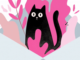 Cat GIF